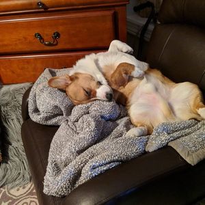 Meet your Posher, Greg